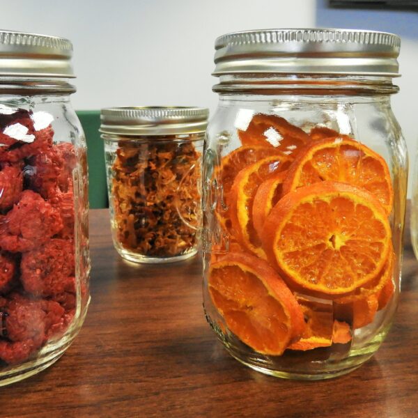 Dehydrating Fruits and Meats: Tips for Efficient Drying
