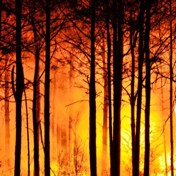 Natural Disaster Preparedness: Gearing Up Based on Climate and Disaster Type