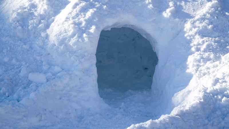 Emergency Shelters: Quick and Simple Options